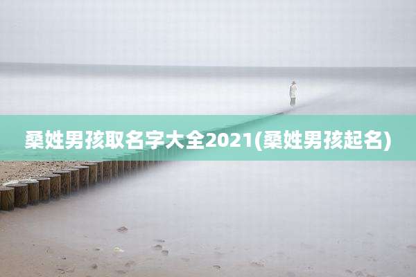桑姓男孩取名字大全2021(桑姓男孩起名)