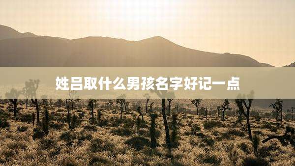 姓吕取什么男孩名字好记一点