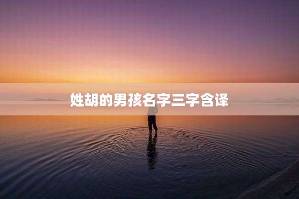 姓胡的男孩名字三字含译