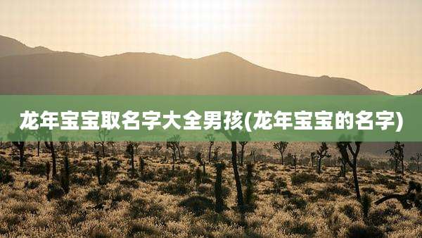 龙年宝宝取名字大全男孩(龙年宝宝的名字)