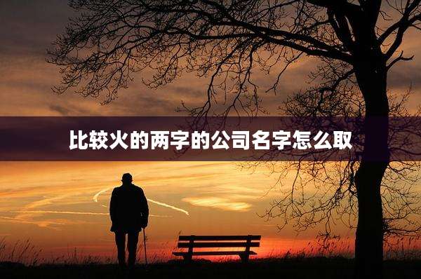 比较火的两字的公司名字怎么取