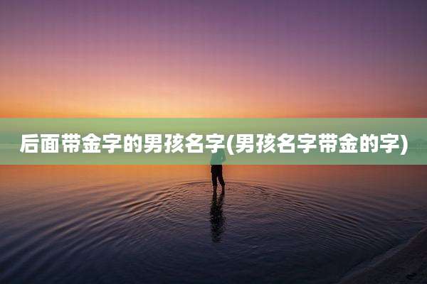 后面带金字的男孩名字(男孩名字带金的字)