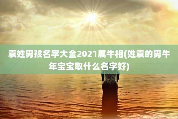 袁姓男孩名字大全2021属牛相(姓袁的男牛年宝宝取什么名字好)