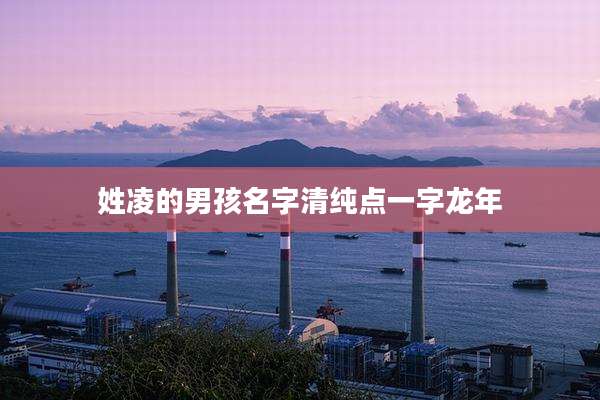 姓凌的男孩名字清纯点一字龙年