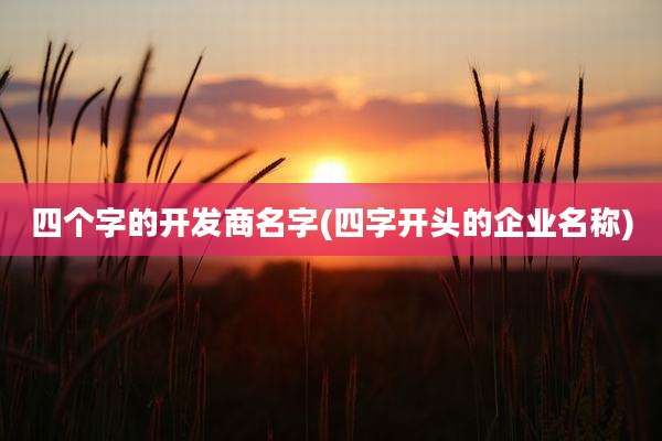 四个字的开发商名字(四字开头的企业名称)