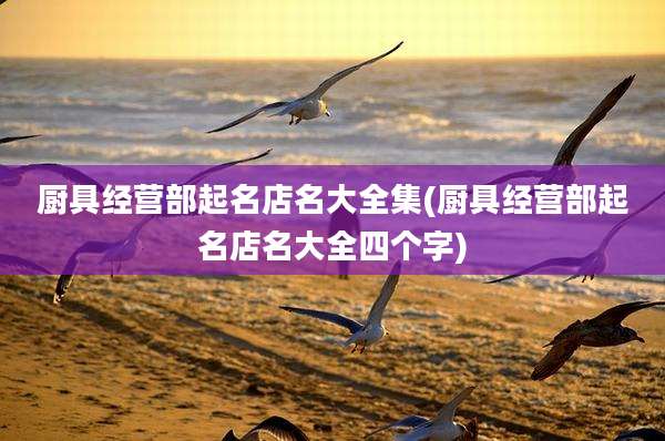 厨具经营部起名店名大全集(厨具经营部起名店名大全四个字)