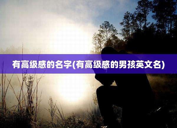 有高级感的名字(有高级感的男孩英文名)