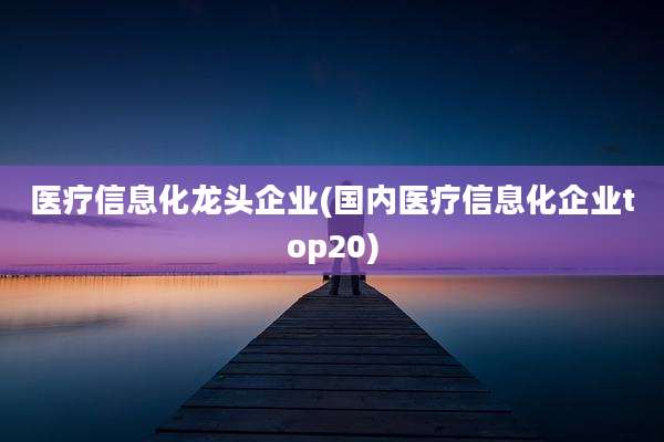 医疗信息化龙头企业(国内医疗信息化企业top20)