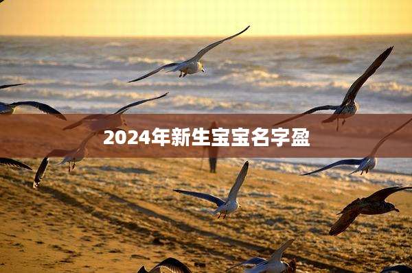 2024年新生宝宝名字盈