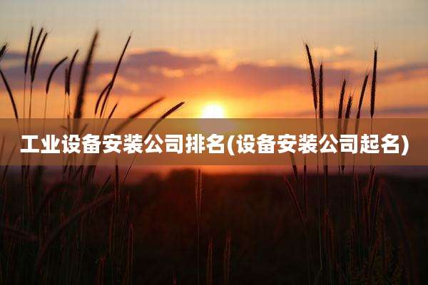 工业设备安装公司排名(设备安装公司起名)