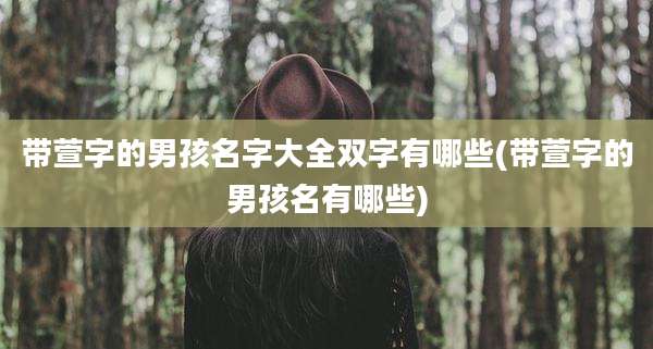带萱字的男孩名字大全双字有哪些(带萱字的男孩名有哪些)