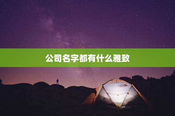 公司名字都有什么雅致