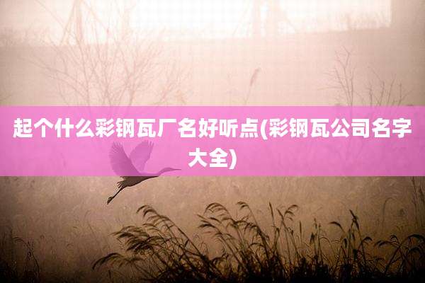 起个什么彩钢瓦厂名好听点(彩钢瓦公司名字大全)