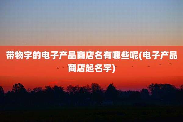 带物字的电子产品商店名有哪些呢(电子产品商店起名字)
