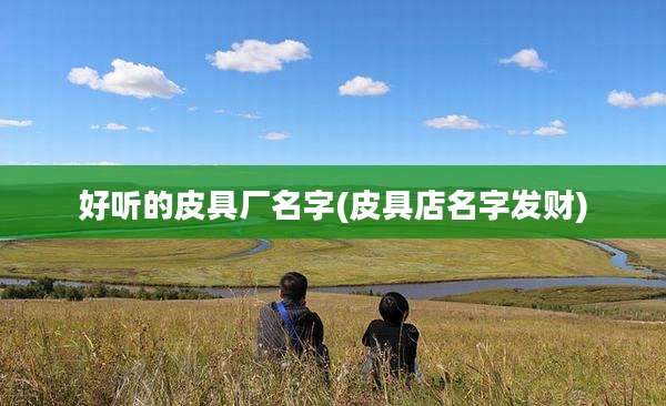 好听的皮具厂名字(皮具店名字发财)