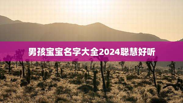 男孩宝宝名字大全2024聪慧好听