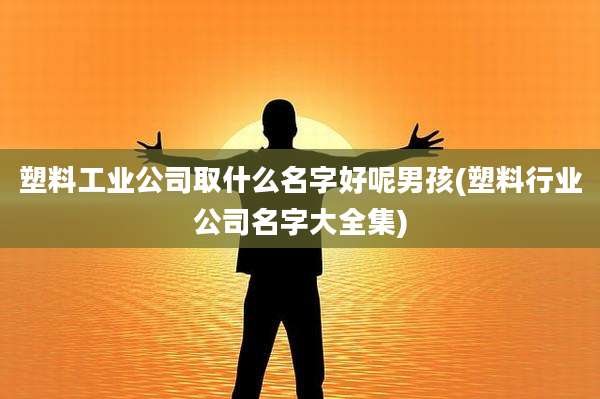 塑料工业公司取什么名字好呢男孩(塑料行业公司名字大全集)