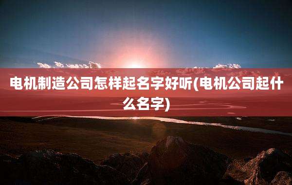 电机制造公司怎样起名字好听(电机公司起什么名字)