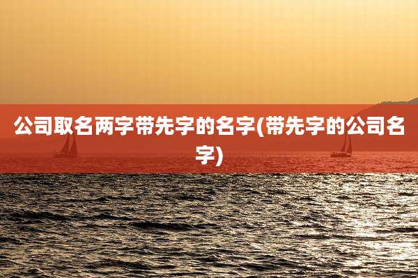 公司取名两字带先字的名字(带先字的公司名字)