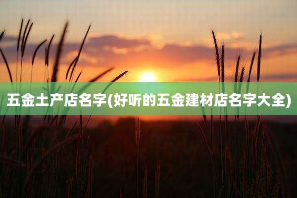 五金土产店名字(好听的五金建材店名字大全)