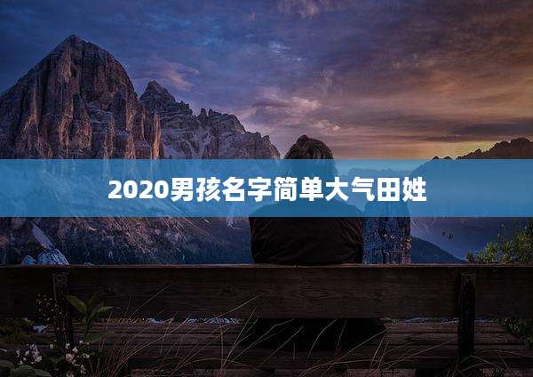 2020男孩名字简单大气田姓