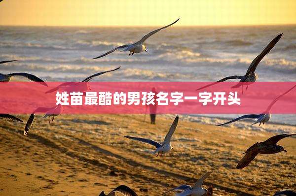 姓苗最酷的男孩名字一字开头
