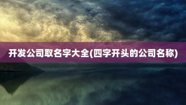 开发公司取名字大全(四字开头的公司名称)