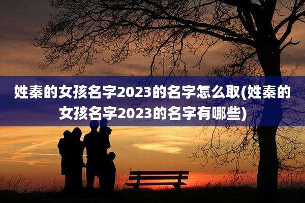 姓秦的女孩名字2023的名字怎么取(姓秦的女孩名字2023的名字有哪些)