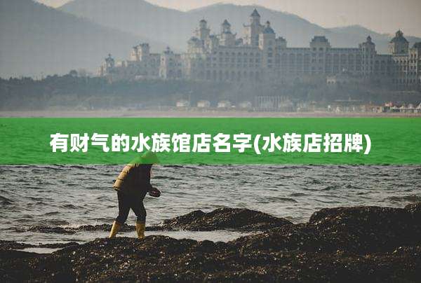 有财气的水族馆店名字(水族店招牌)