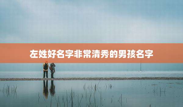 左姓好名字非常清秀的男孩名字