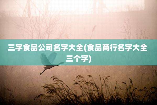 三字食品公司名字大全(食品商行名字大全 三个字)