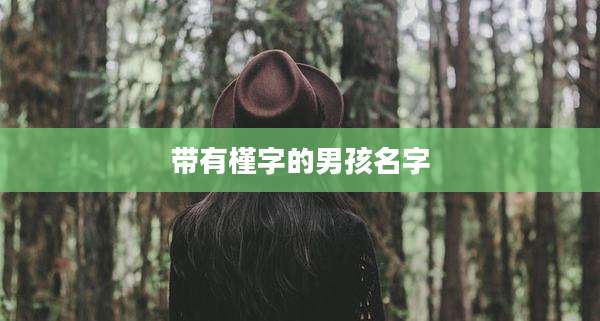 带有槿字的男孩名字