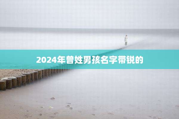 2024年曾姓男孩名字带锐的