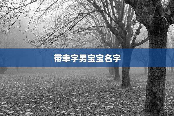 带幸字男宝宝名字