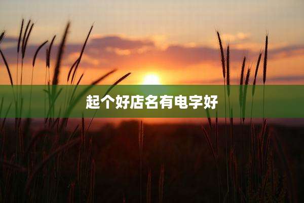 起个好店名有电字好