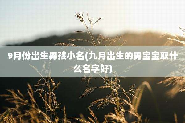 9月份出生男孩小名(九月出生的男宝宝取什么名字好)