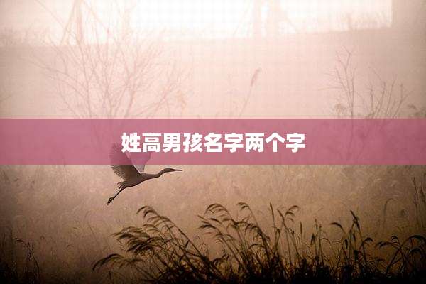 姓高男孩名字两个字