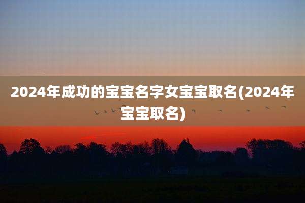 2024年成功的宝宝名字女宝宝取名(2024年宝宝取名)