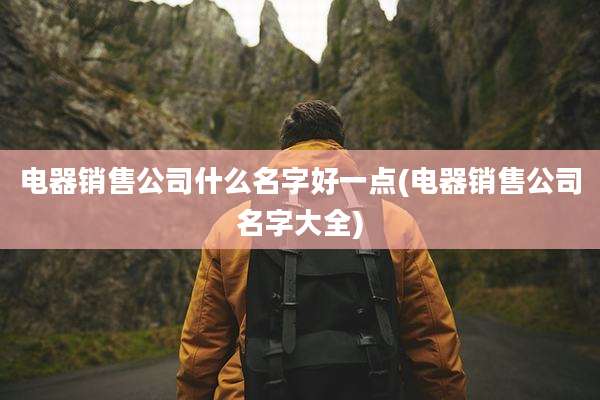 电器销售公司什么名字好一点(电器销售公司名字大全)