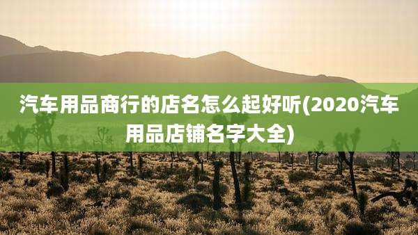 汽车用品商行的店名怎么起好听(2020汽车用品店铺名字大全)