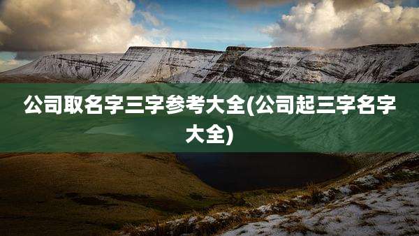 公司取名字三字参考大全(公司起三字名字大全)