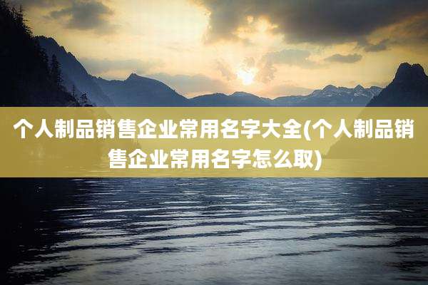个人制品销售企业常用名字大全(个人制品销售企业常用名字怎么取)