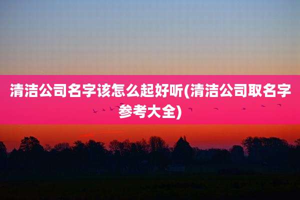 清洁公司名字该怎么起好听(清洁公司取名字参考大全)