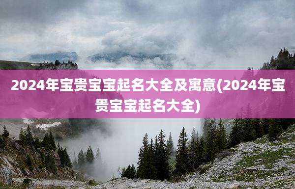 2024年宝贵宝宝起名大全及寓意(2024年宝贵宝宝起名大全)