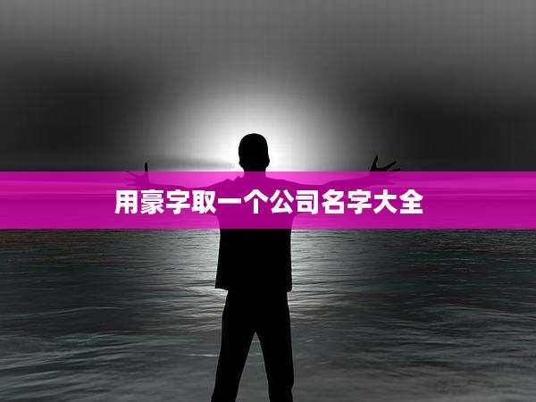 用豪字取一个公司名字大全