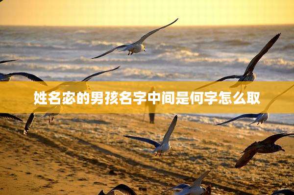 姓名宓的男孩名字中间是何字怎么取