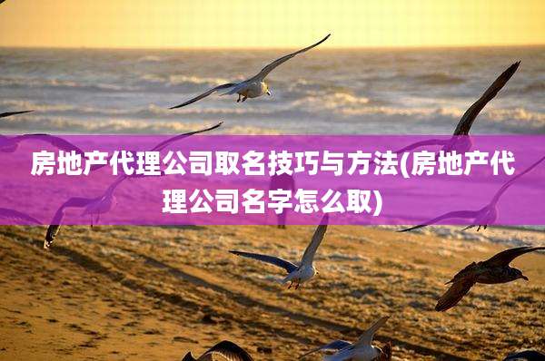 房地产代理公司取名技巧与方法(房地产代理公司名字怎么取)