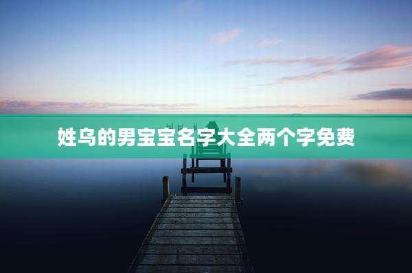 姓乌的男宝宝名字大全两个字免费
