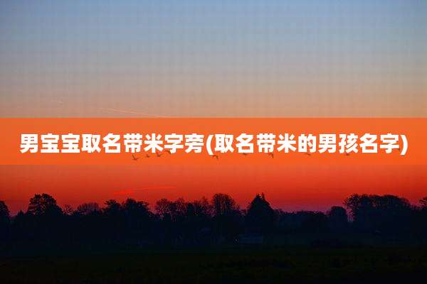 男宝宝取名带米字旁(取名带米的男孩名字)