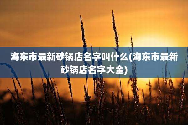 海东市最新砂锅店名字叫什么(海东市最新砂锅店名字大全)